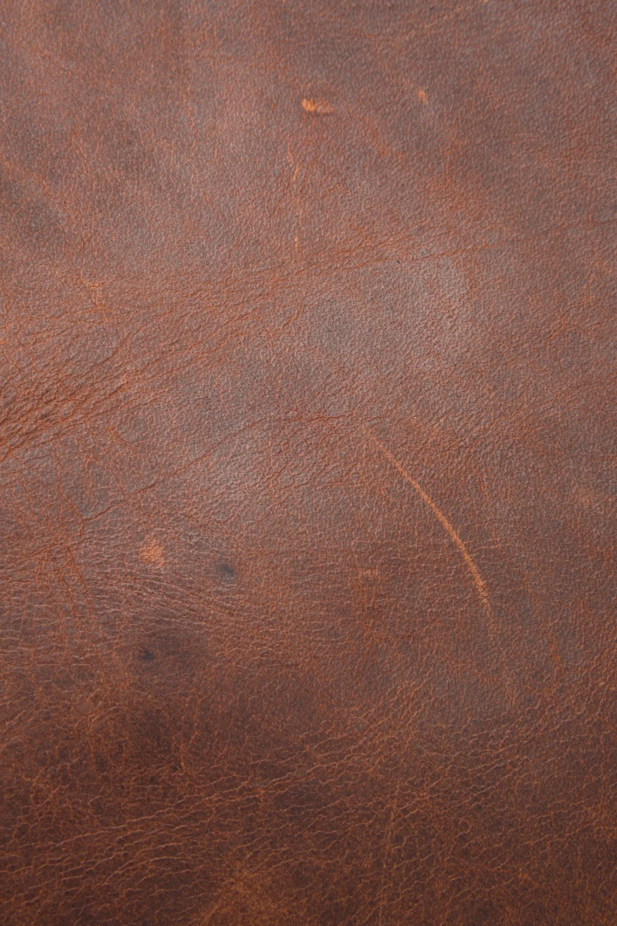 Bags^Frye Logan Backpack