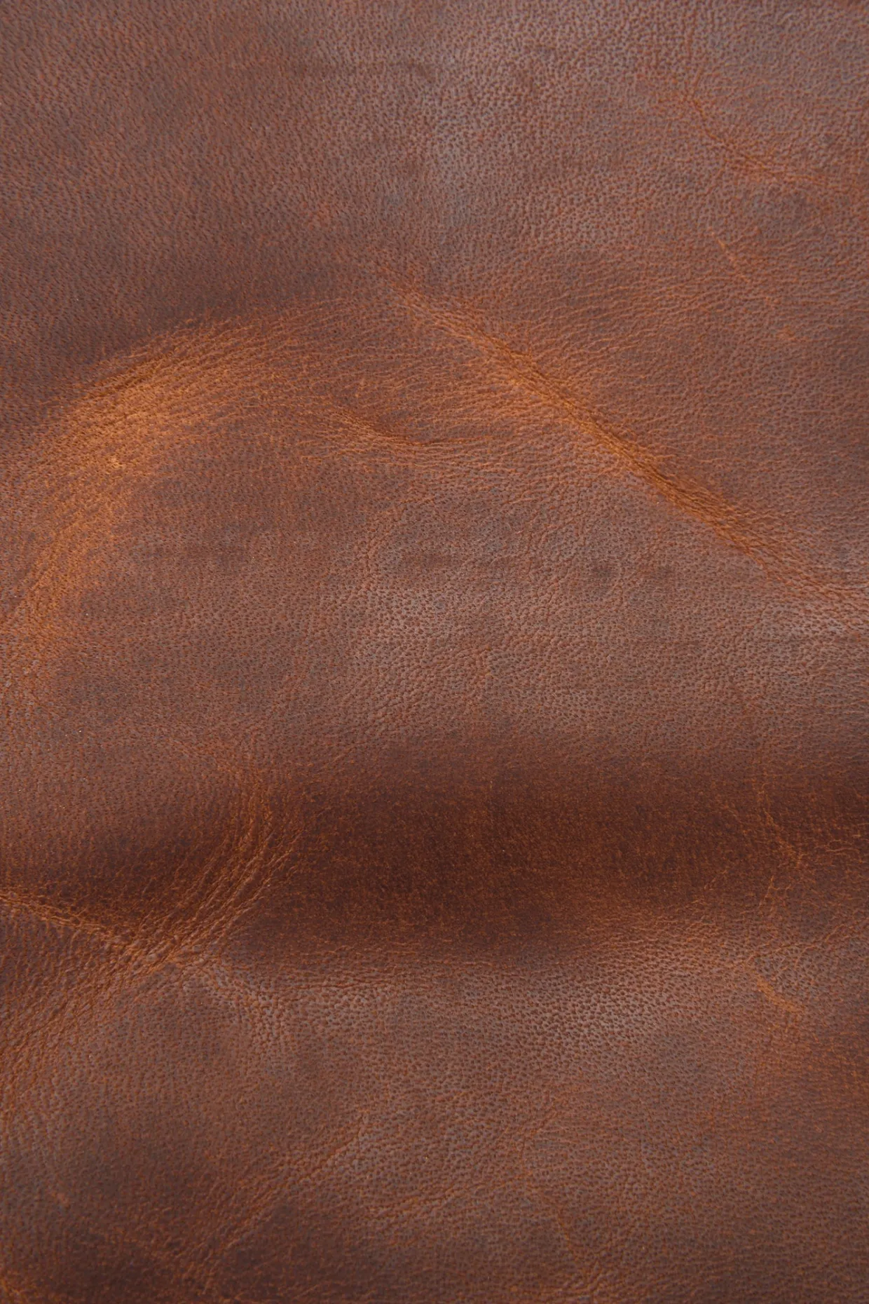 Bags^Frye Logan Messenger Cognac
