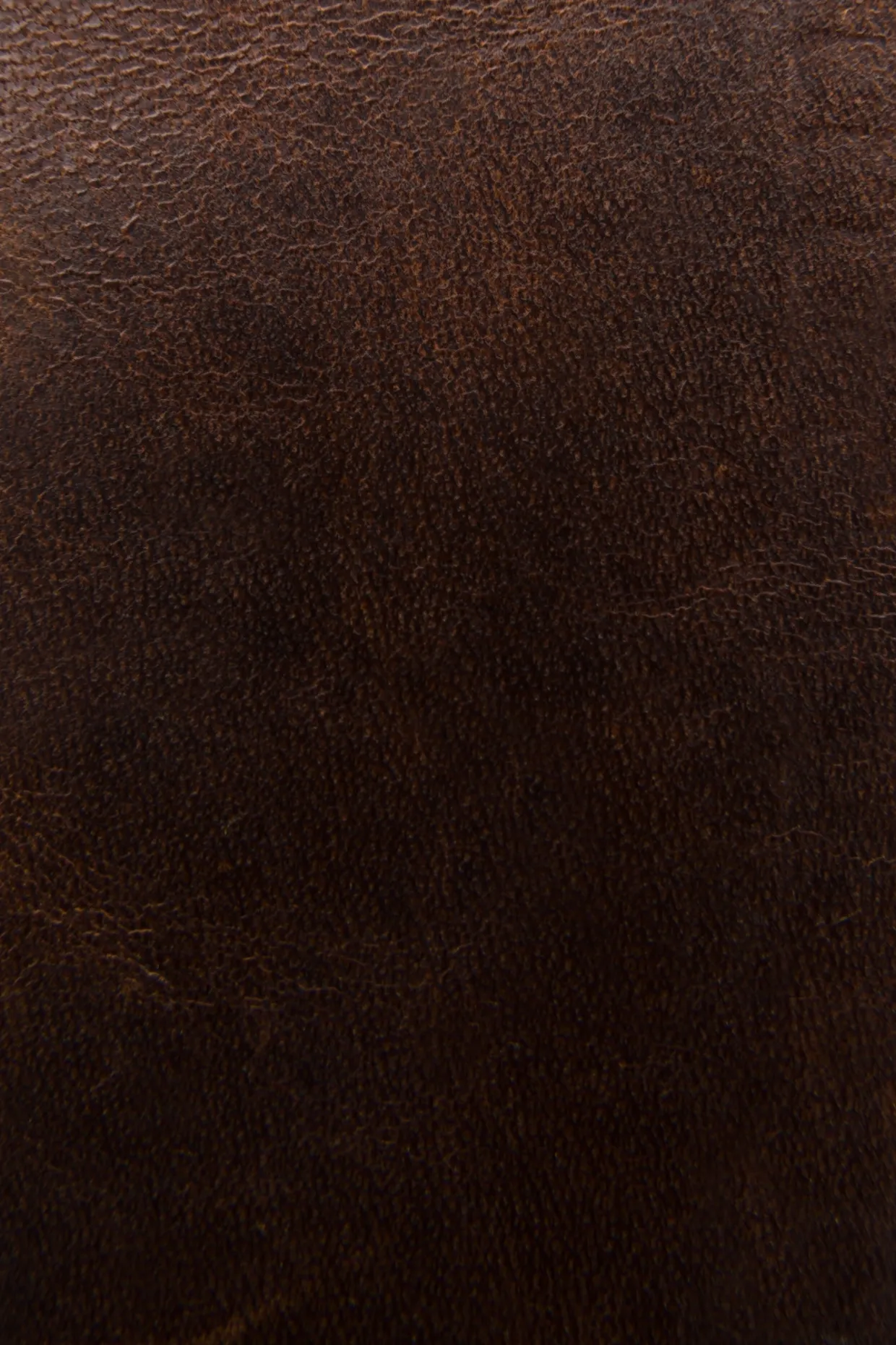 Wallets & Accessories^Frye Logan Money Clip Card Case