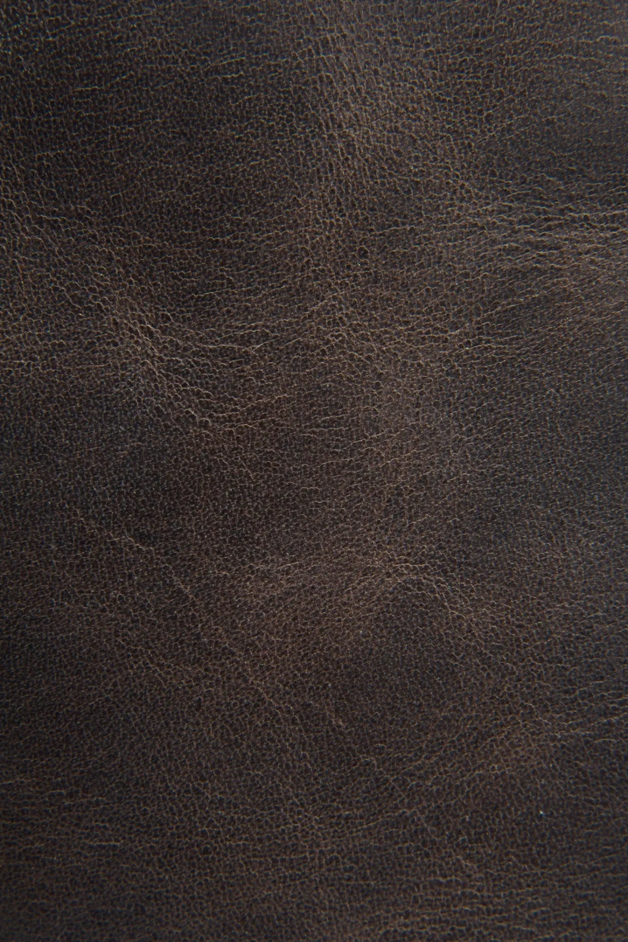 Bags^Frye Logan Top Handle