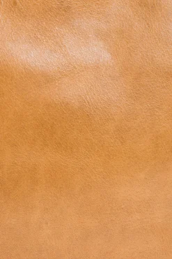 Handbags^Frye Melissa Swing Pack
