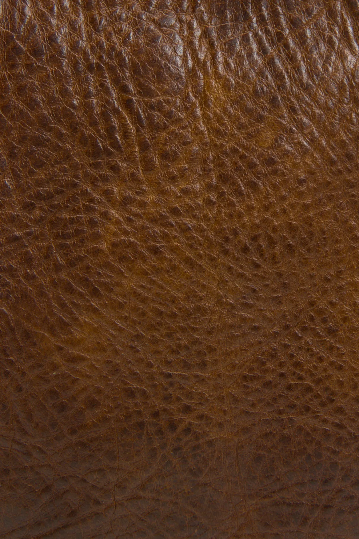 Handbags^Frye MELISSA ZIP CROSSBODY