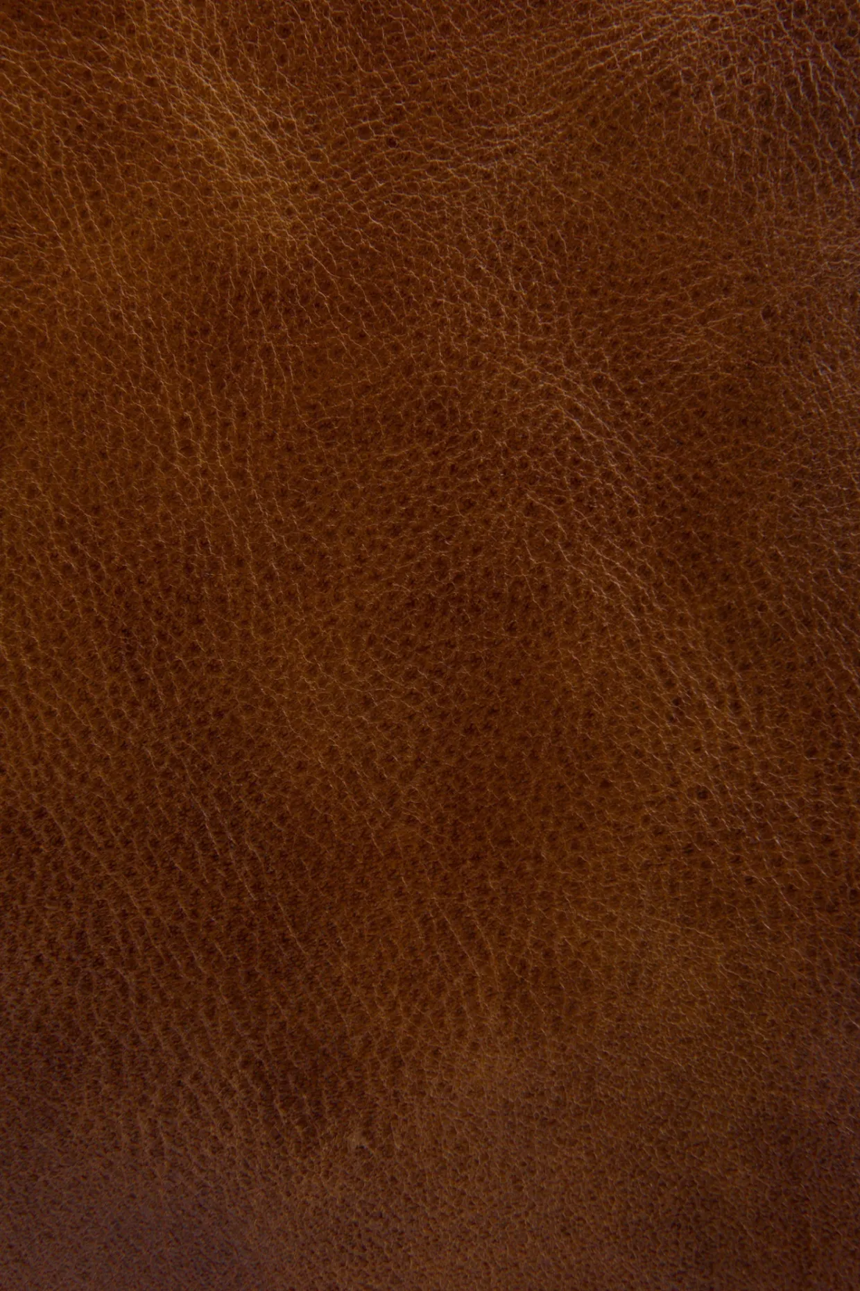 Handbags^Frye MELISSA ZIP CROSSBODY